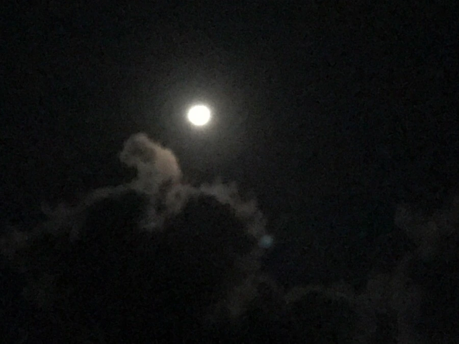 IMG_3838.jpg?type=w966