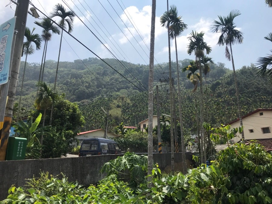 IMG_3211.jpg?type=w966