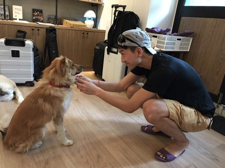 IMG_8332.jpg?type=w966