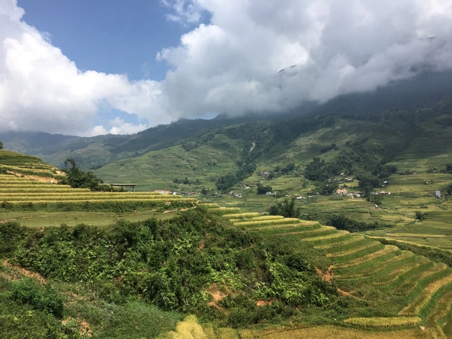 IMG_3558.JPG?type=w1