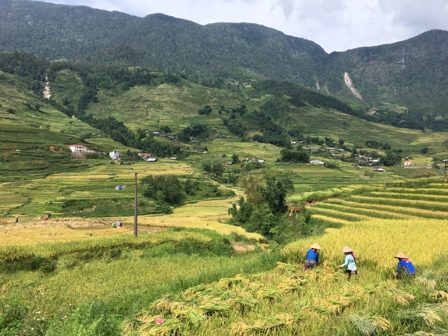 IMG_3414_Original.JPG?type=w1