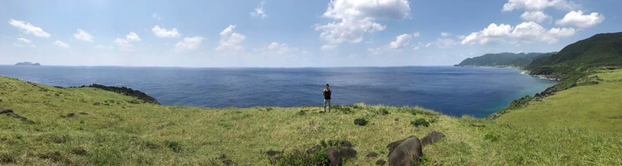 IMG_3934.jpg?type=w966