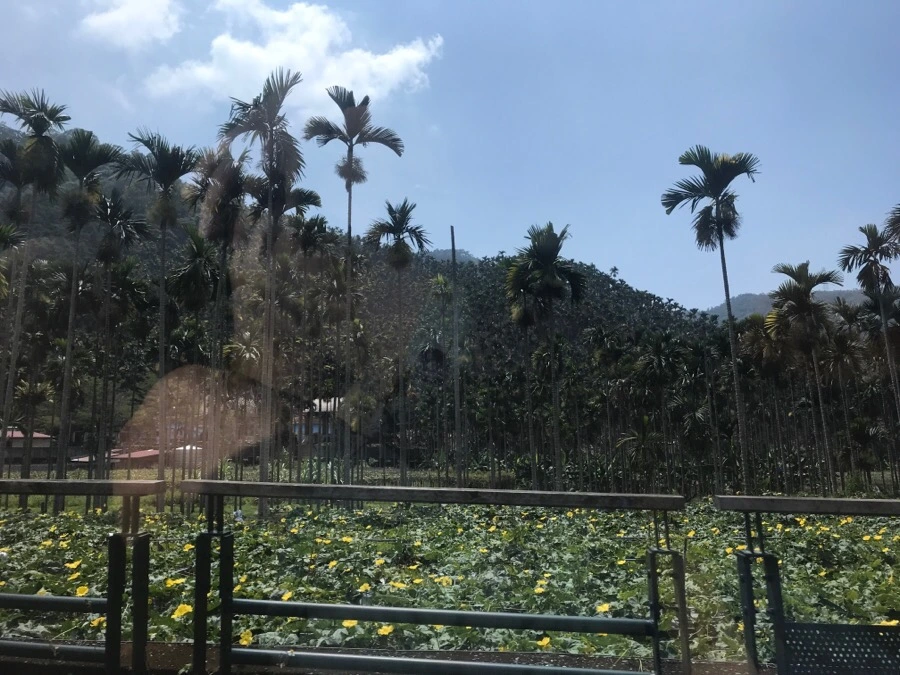 IMG_3210.jpg?type=w966