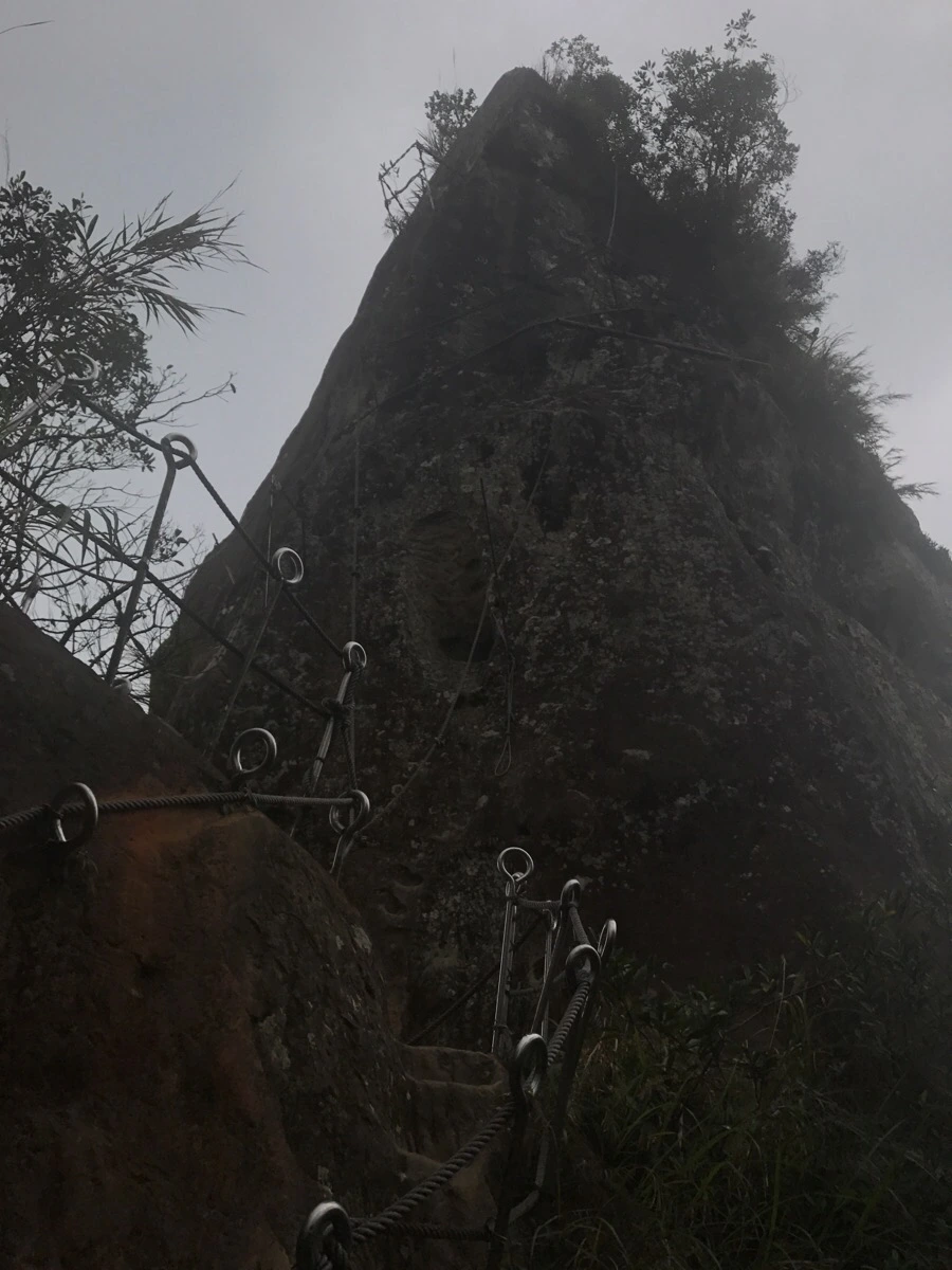 IMG_0984.jpg?type=w966