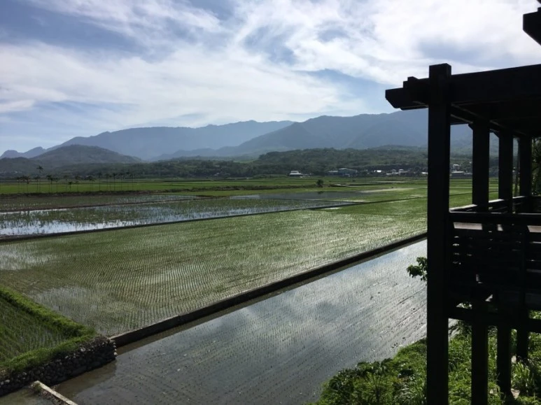 attachImage_3074938242.jpeg?type=w773