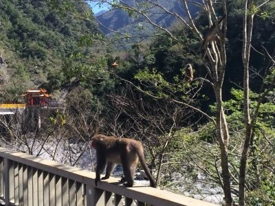 IMG_6242.JPG?type=w2