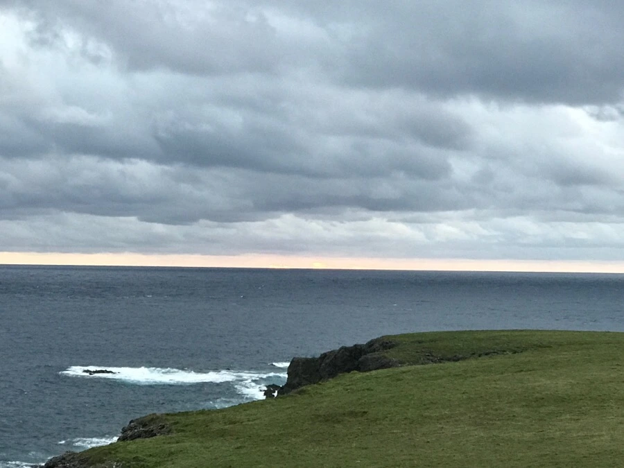 IMG_1516.jpg?type=w966