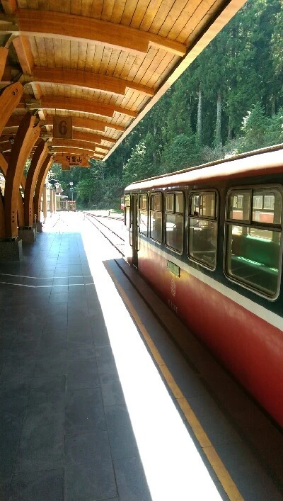 IMAG4872.jpg?type=w773