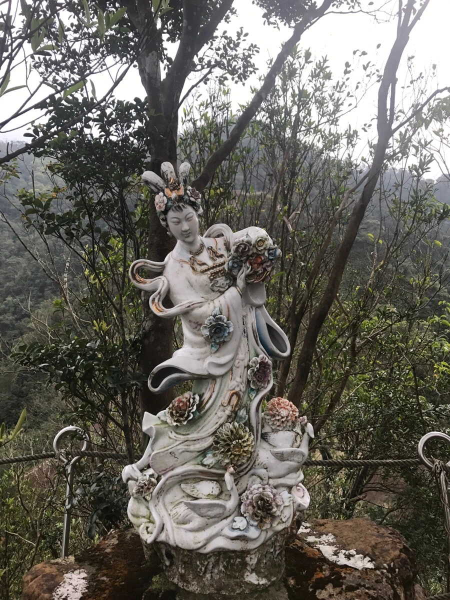 IMG_1082.jpg?type=w966