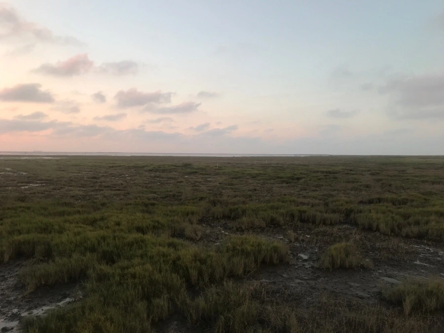 IMG_3327.jpg?type=w966