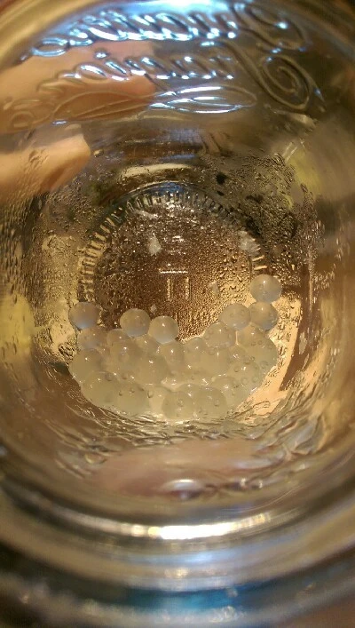 IMAG4521.jpg?type=w773