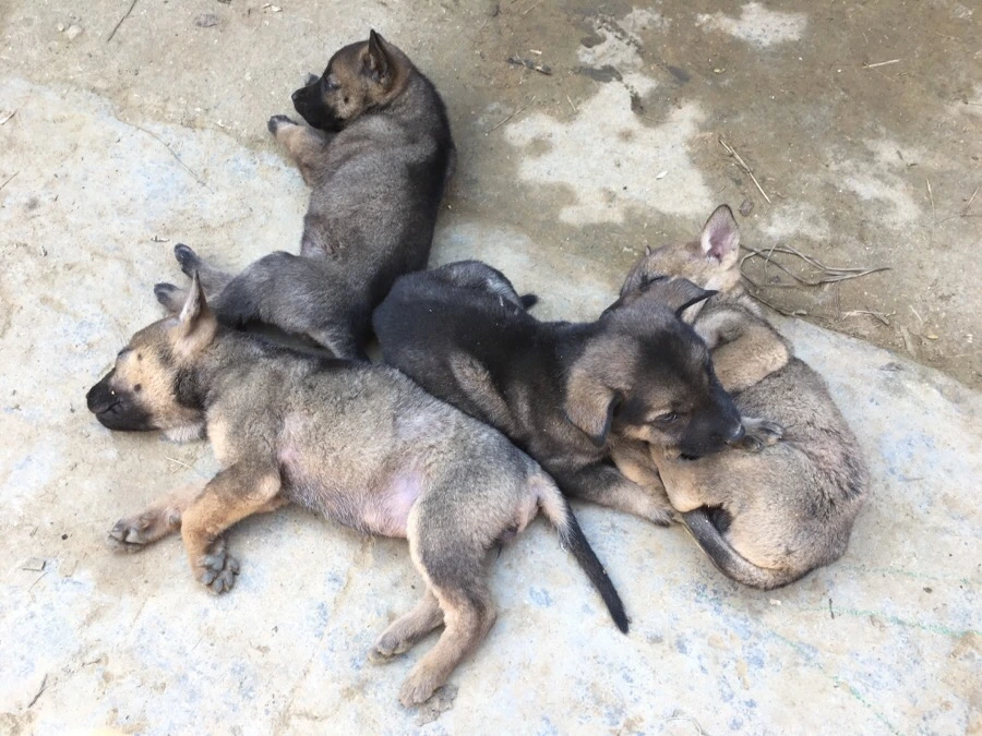 IMG_3534.JPG?type=w1