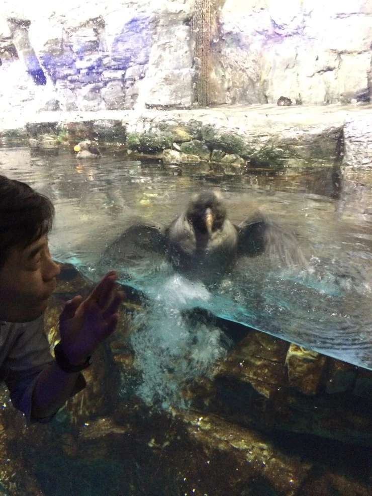 IMG_6120.JPG?type=w2