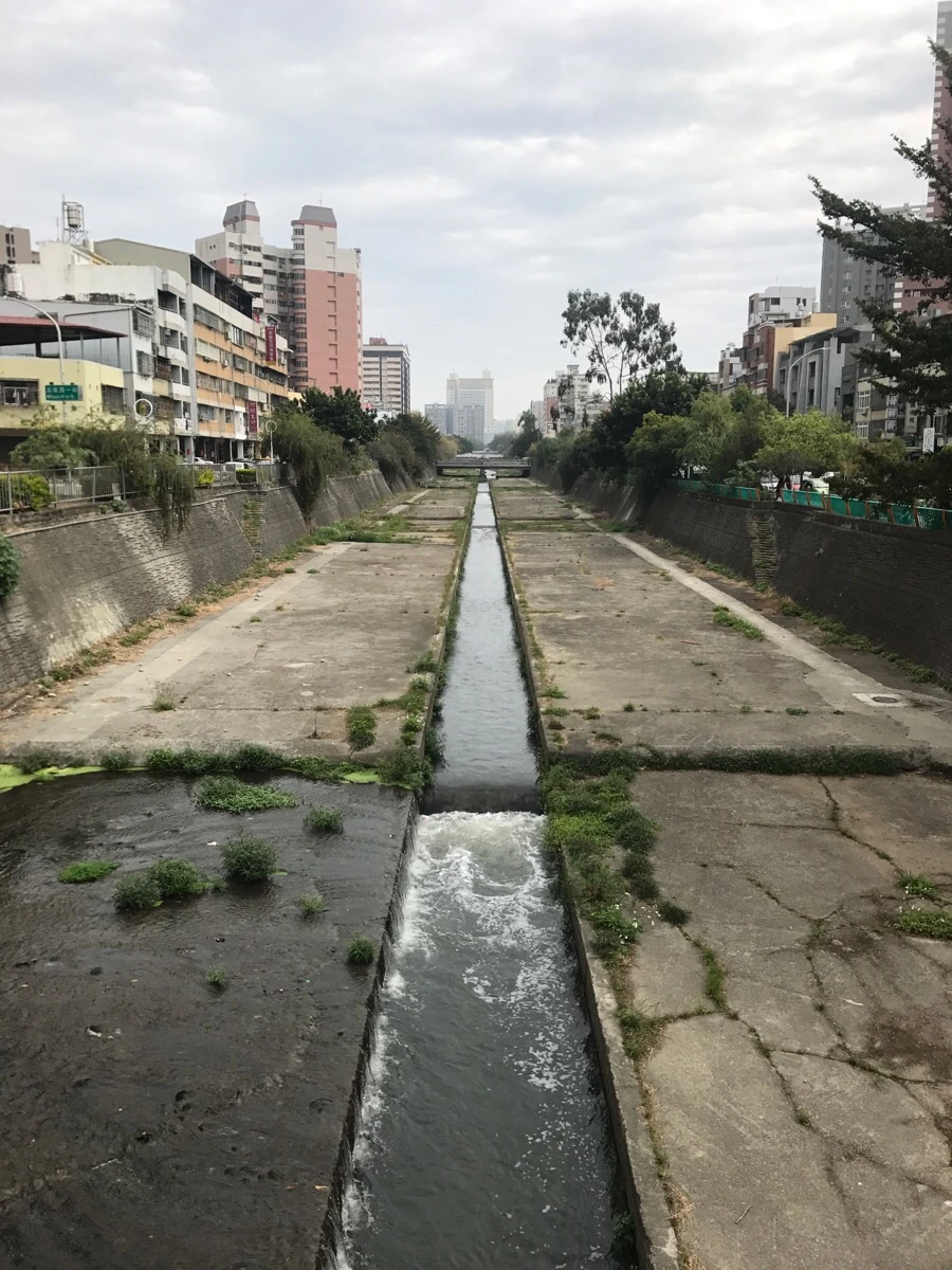 IMG_0266.jpg?type=w966