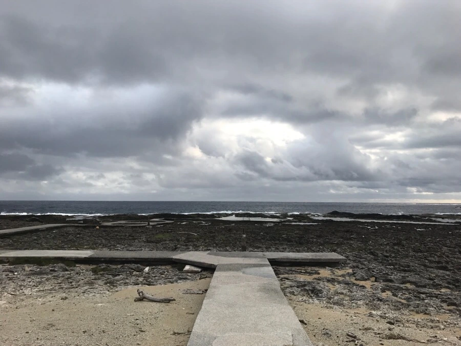 IMG_1546.jpg?type=w966