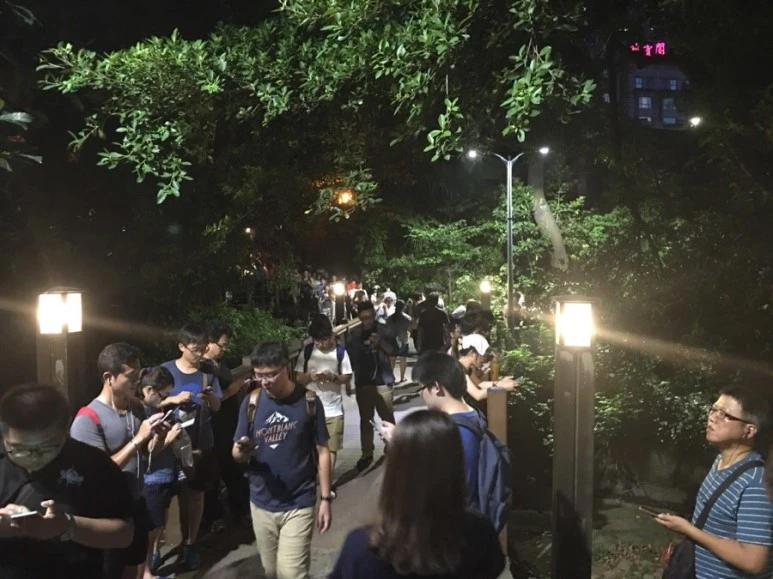 attachImage_1964707896.jpeg?type=w773