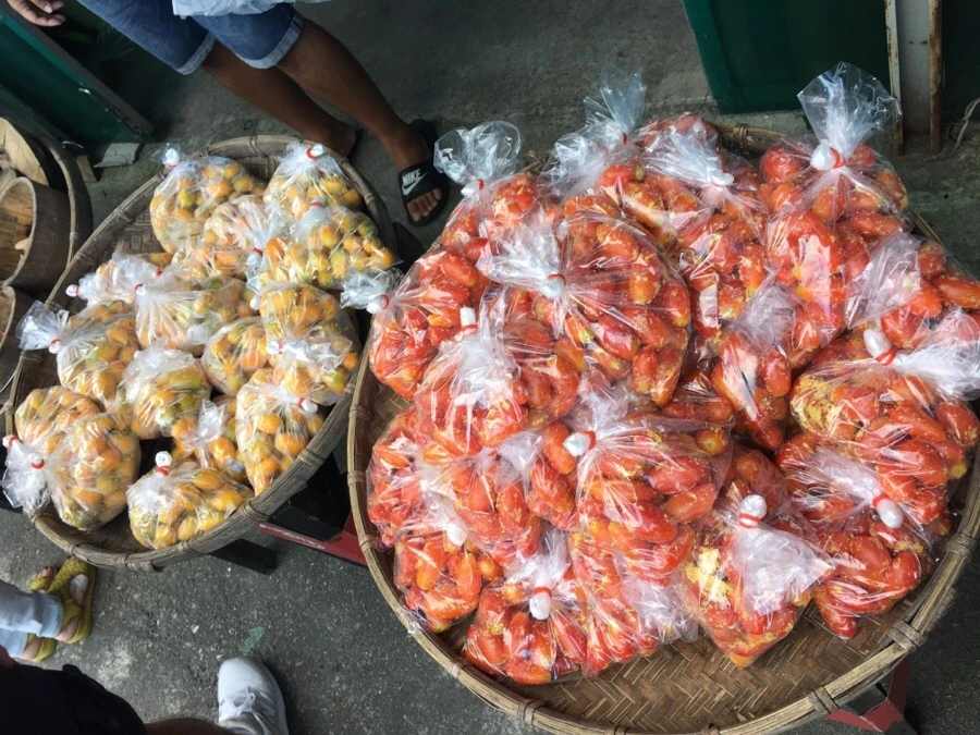 IMG_5376.JPG?type=w966