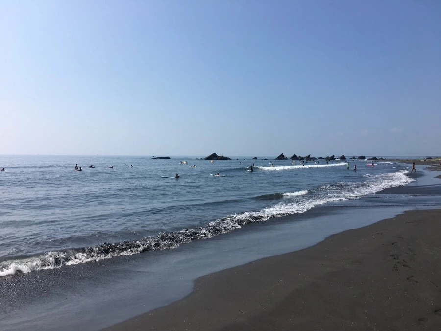 attachImage_3958429905.jpeg?type=w966