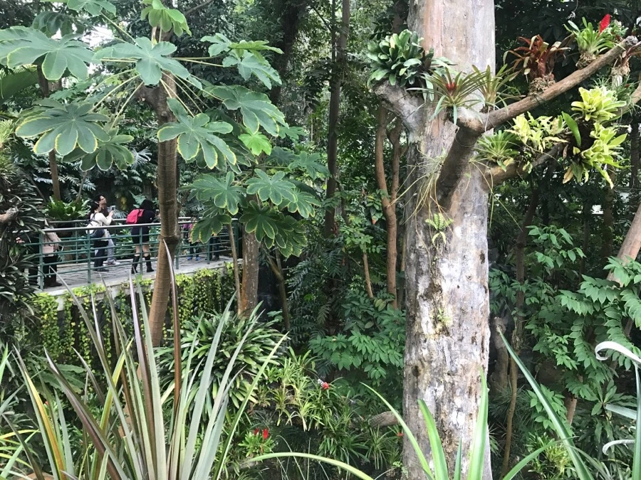 IMG_0389.jpg?type=w966