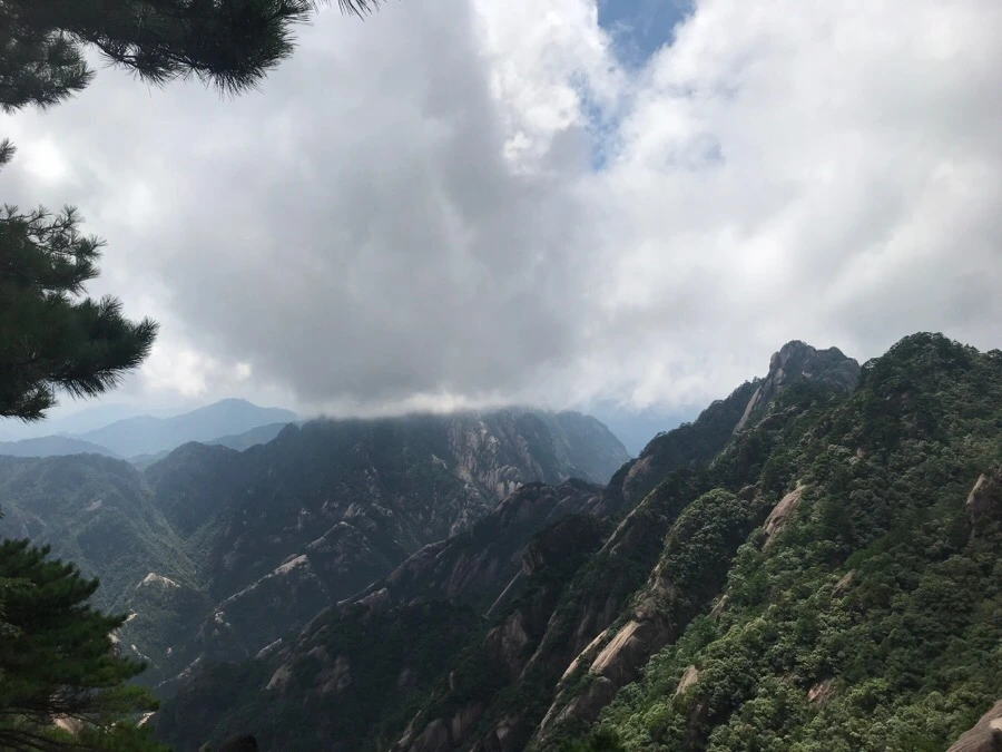 IMG_0842.jpg?type=w966