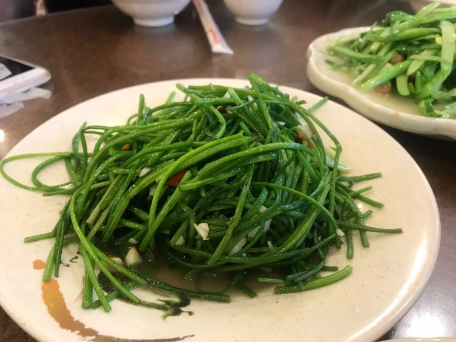 IMG_9053.jpg?type=w966