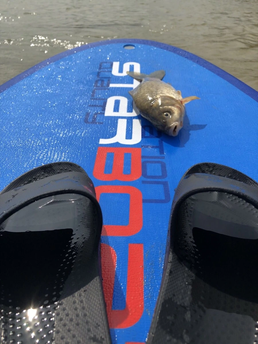 IMG_3702.jpg?type=w966