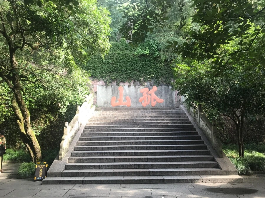 IMG_1098.jpg?type=w966