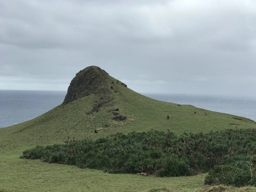 IMG_1643.jpg?type=w966