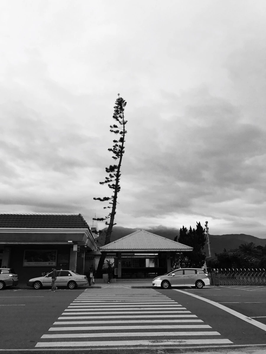 IMG_2026.jpg?type=w966