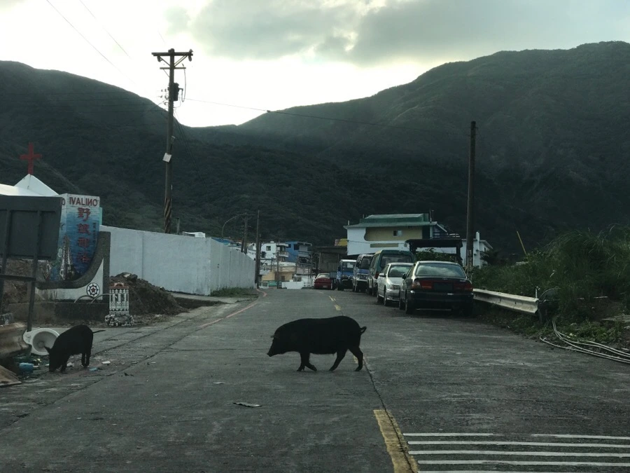 IMG_3795.jpg?type=w966