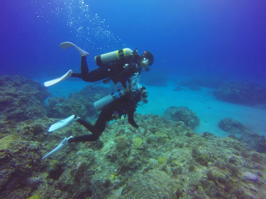 IMG_3581.jpg?type=w966