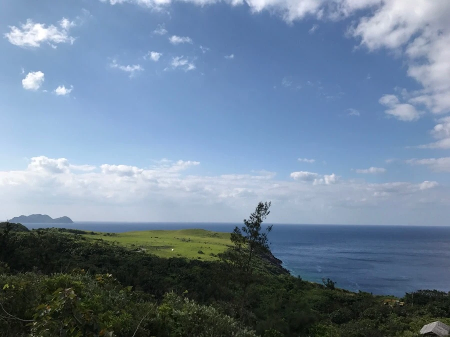 IMG_3630.jpg?type=w966