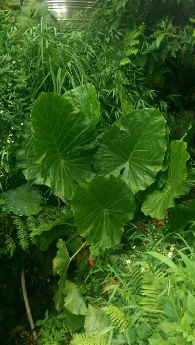 IMAG5982.jpg?type=w773