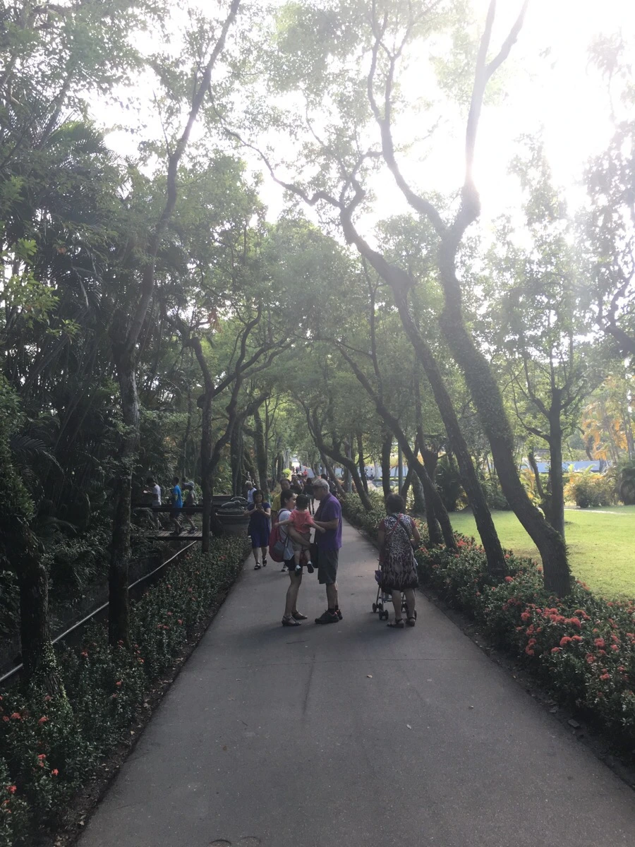 attachImage_1592536242.jpeg?type=w966