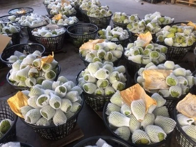 IMG_6142.JPG?type=w2