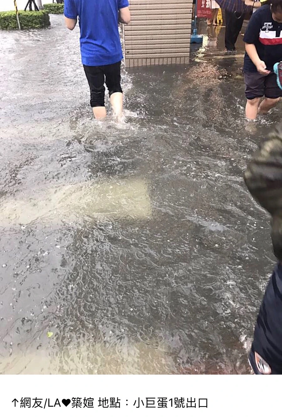 IMG_7381.jpg?type=w966