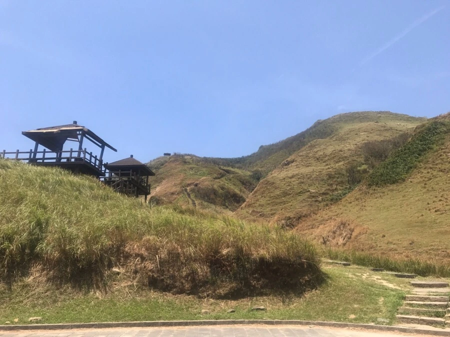 IMG_0114.jpg?type=w966