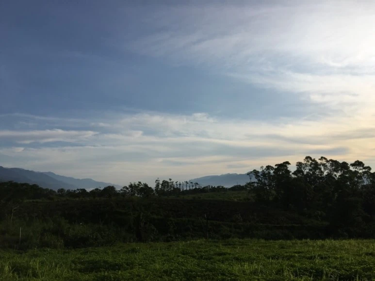 attachImage_1212699747.jpeg?type=w773