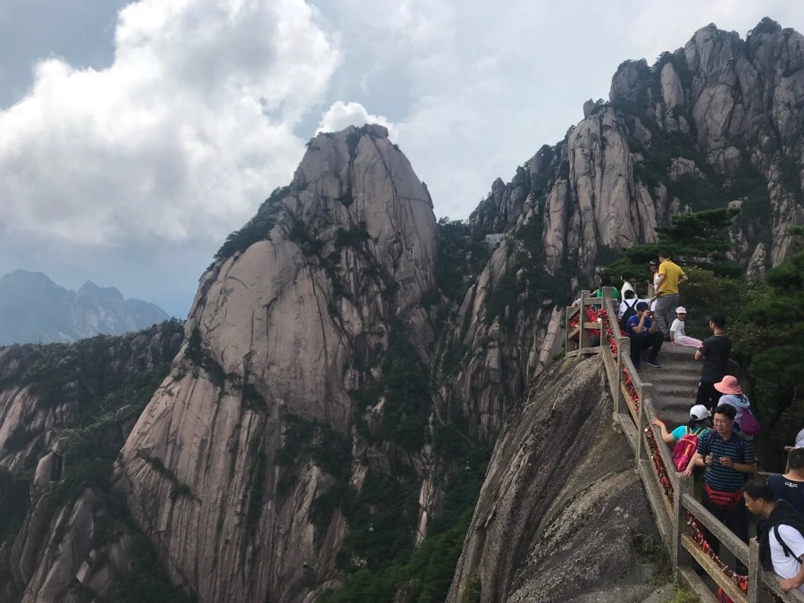 IMG_0946.jpg?type=w966