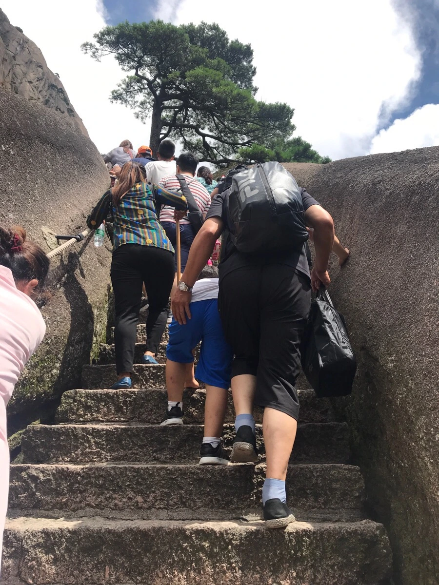 IMG_0857.jpg?type=w966