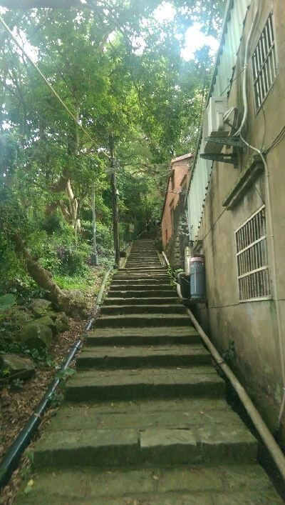 IMAG5977.jpg?type=w773