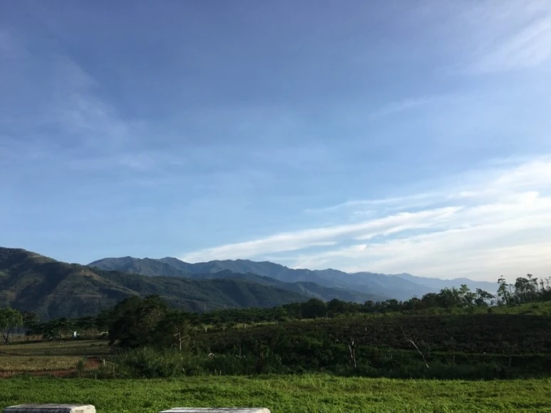 attachImage_702954195.jpeg?type=w773