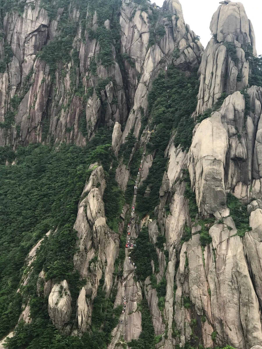 IMG_0944.jpg?type=w966