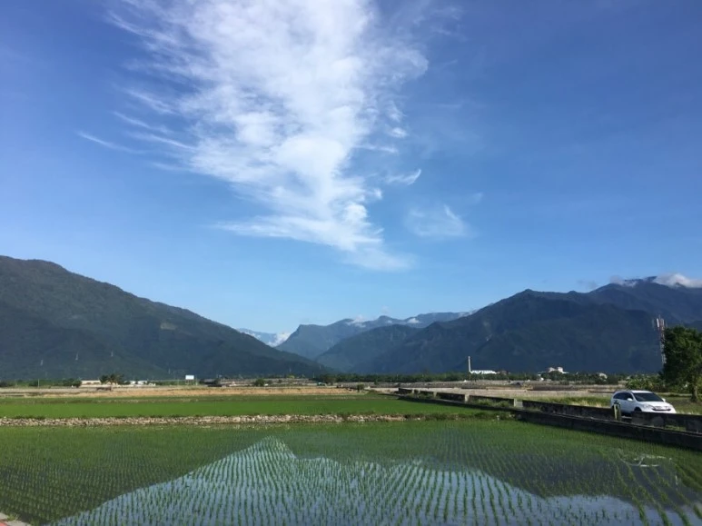 attachImage_4070505984.jpeg?type=w773