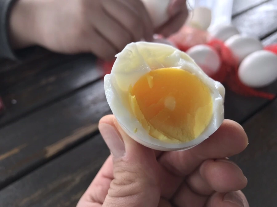 IMG_1934.jpg?type=w966