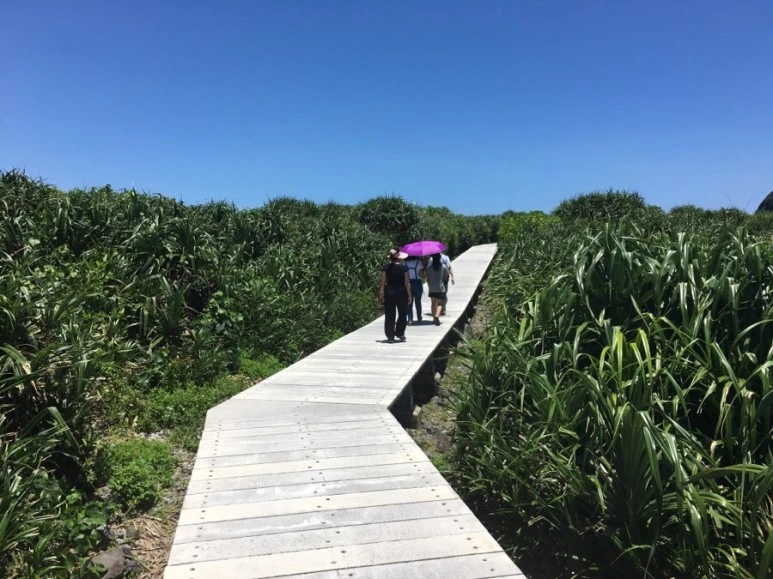 attachImage_707168051.jpeg?type=w773