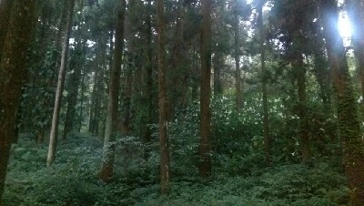 IMAG4829.jpg?type=w773