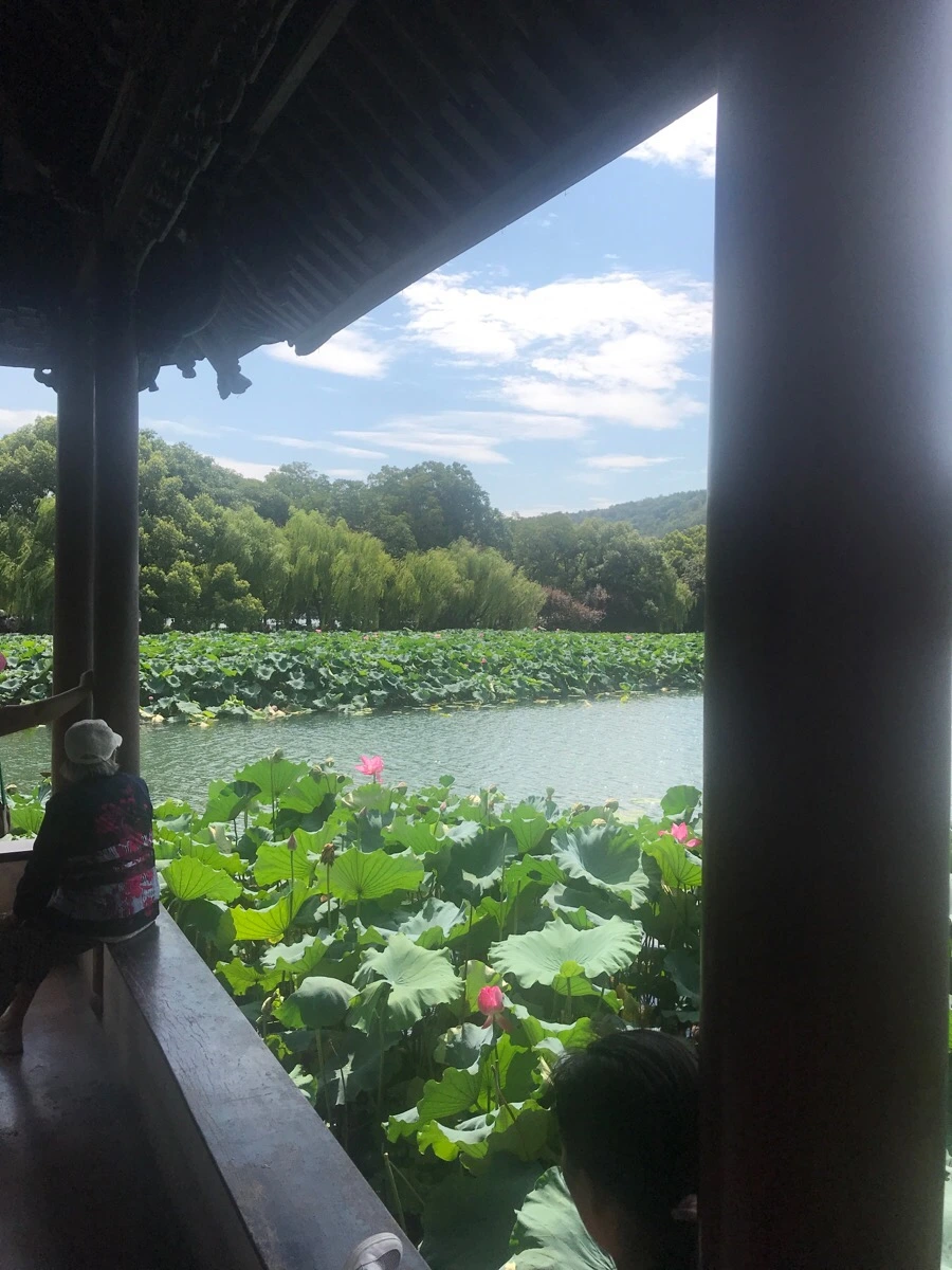 IMG_1189.jpg?type=w1