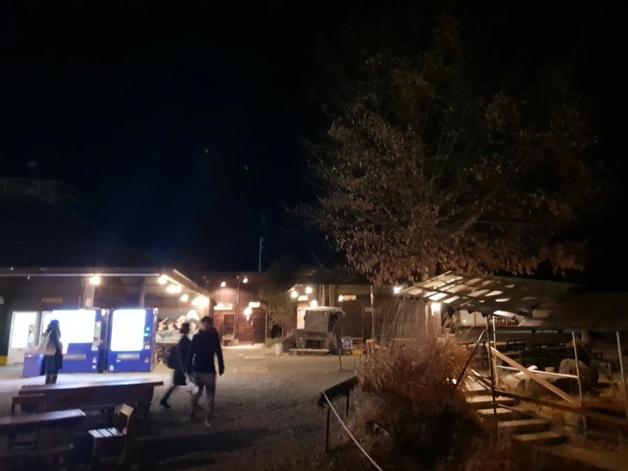 20190126_180804.jpg?type=w1