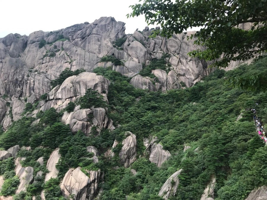 IMG_0855.jpg?type=w966